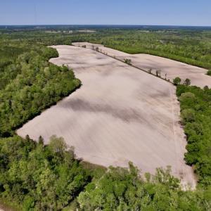 Photo #23 of SOLD property in Off Highway 58, Trenton, NC 418.0 acres