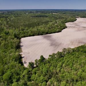 Photo #24 of SOLD property in Off Highway 58, Trenton, NC 418.0 acres