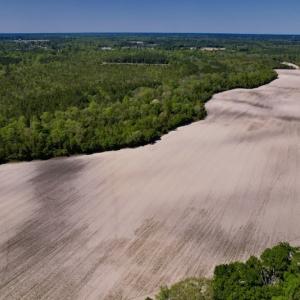 Photo #25 of SOLD property in Off Highway 58, Trenton, NC 418.0 acres