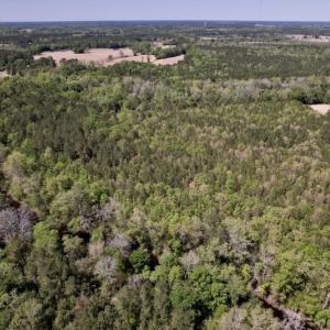 Photo #26 of SOLD property in Off Highway 58, Trenton, NC 418.0 acres