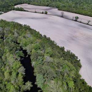 Photo #27 of SOLD property in Off Highway 58, Trenton, NC 418.0 acres