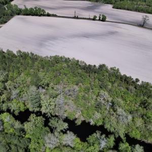 Photo #28 of SOLD property in Off Highway 58, Trenton, NC 418.0 acres