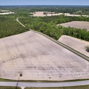 Photo #2 of SOLD property in Off Highway 58, Trenton, NC 418.0 acres