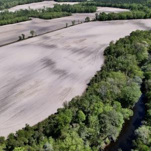 Photo #29 of SOLD property in Off Highway 58, Trenton, NC 418.0 acres