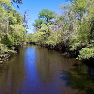Photo #33 of SOLD property in Off Highway 58, Trenton, NC 418.0 acres