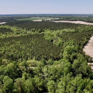 Photo #34 of SOLD property in Off Highway 58, Trenton, NC 418.0 acres