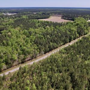 Photo #35 of SOLD property in Off Highway 58, Trenton, NC 418.0 acres