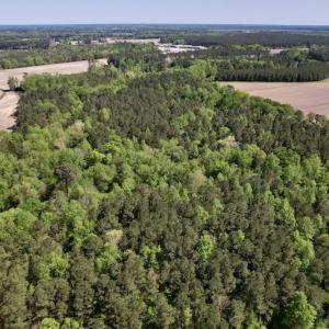 Photo #36 of SOLD property in Off Highway 58, Trenton, NC 418.0 acres