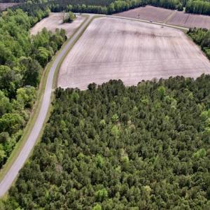 Photo #37 of SOLD property in Off Highway 58, Trenton, NC 418.0 acres