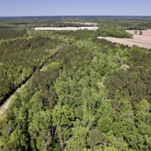 Photo #38 of SOLD property in Off Highway 58, Trenton, NC 418.0 acres