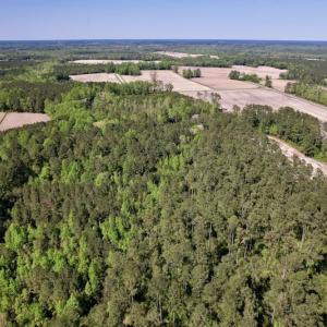 Photo #5 of SOLD property in Off Highway 58, Trenton, NC 418.0 acres