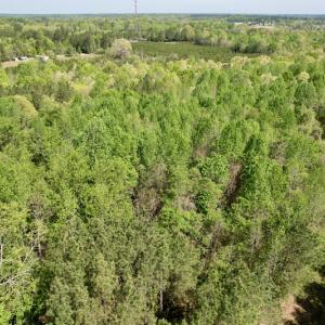 Photo #10 of SOLD property in Union Woods Dr, Brodnax, VA 25.7 acres