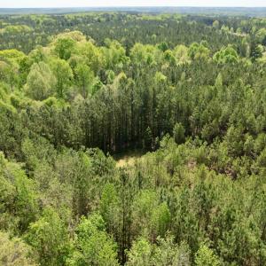 Photo #11 of SOLD property in Union Woods Dr, Brodnax, VA 25.7 acres
