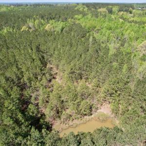 Photo #12 of SOLD property in Union Woods Dr, Brodnax, VA 25.7 acres
