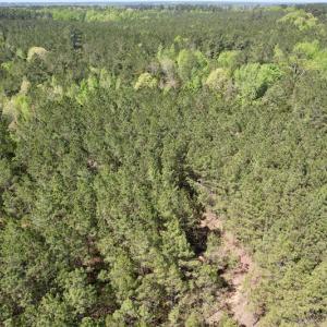 Photo #13 of SOLD property in Union Woods Dr, Brodnax, VA 25.7 acres