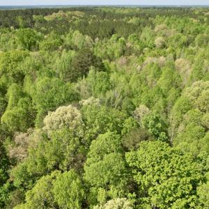 Photo #14 of SOLD property in Union Woods Dr, Brodnax, VA 25.7 acres