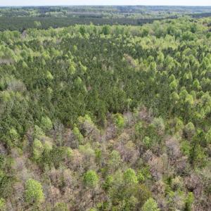 Photo #15 of SOLD property in Union Woods Dr, Brodnax, VA 25.7 acres