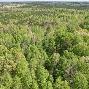 Photo #17 of SOLD property in Union Woods Dr, Brodnax, VA 25.7 acres