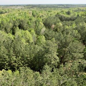 Photo #18 of SOLD property in Union Woods Dr, Brodnax, VA 25.7 acres