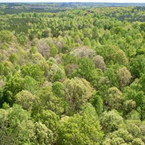 Photo #19 of SOLD property in Union Woods Dr, Brodnax, VA 25.7 acres