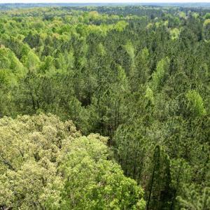 Photo #2 of SOLD property in Union Woods Dr, Brodnax, VA 25.7 acres
