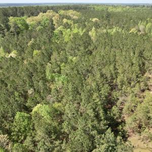 Photo #20 of SOLD property in Union Woods Dr, Brodnax, VA 25.7 acres