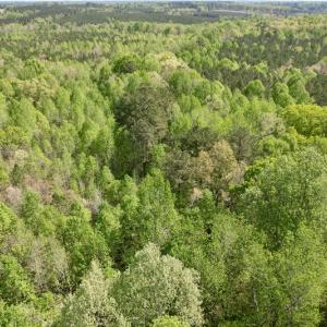 Photo #21 of SOLD property in Union Woods Dr, Brodnax, VA 25.7 acres