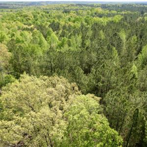 Photo #22 of SOLD property in Union Woods Dr, Brodnax, VA 25.7 acres