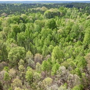 Photo #24 of SOLD property in Union Woods Dr, Brodnax, VA 25.7 acres