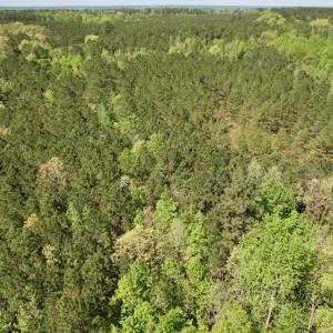 Photo #25 of SOLD property in Union Woods Dr, Brodnax, VA 25.7 acres