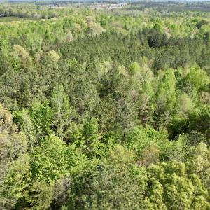 Photo #26 of SOLD property in Union Woods Dr, Brodnax, VA 25.7 acres
