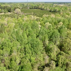 Photo #27 of SOLD property in Union Woods Dr, Brodnax, VA 25.7 acres