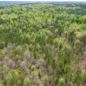 Photo #28 of SOLD property in Union Woods Dr, Brodnax, VA 25.7 acres