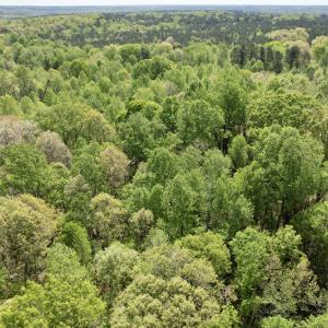 Photo #29 of SOLD property in Union Woods Dr, Brodnax, VA 25.7 acres