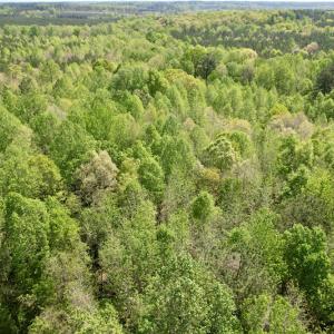 Photo #30 of SOLD property in Union Woods Dr, Brodnax, VA 25.7 acres