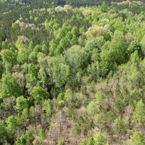 Photo #31 of SOLD property in Union Woods Dr, Brodnax, VA 25.7 acres