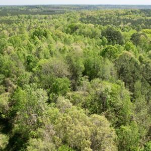Photo #32 of SOLD property in Union Woods Dr, Brodnax, VA 25.7 acres