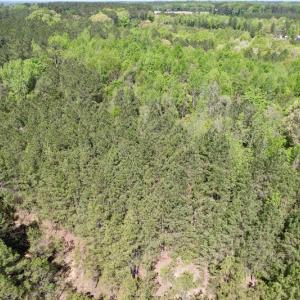 Photo #33 of SOLD property in Union Woods Dr, Brodnax, VA 25.7 acres