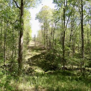 Photo #41 of SOLD property in Union Woods Dr, Brodnax, VA 25.7 acres
