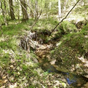 Photo #46 of SOLD property in Union Woods Dr, Brodnax, VA 25.7 acres