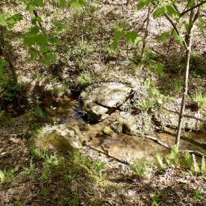 Photo #48 of SOLD property in Union Woods Dr, Brodnax, VA 25.7 acres