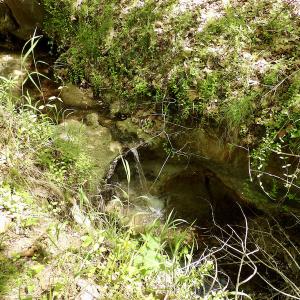 Photo #49 of SOLD property in Union Woods Dr, Brodnax, VA 25.7 acres