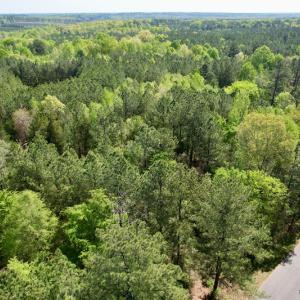 Photo #5 of SOLD property in Union Woods Dr, Brodnax, VA 25.7 acres