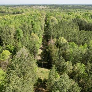 Photo #6 of SOLD property in Union Woods Dr, Brodnax, VA 25.7 acres