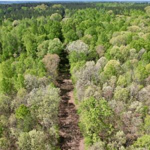Photo #7 of SOLD property in Union Woods Dr, Brodnax, VA 25.7 acres