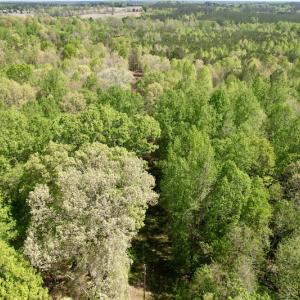 Photo #8 of SOLD property in Union Woods Dr, Brodnax, VA 25.7 acres