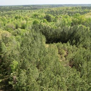 Photo #9 of SOLD property in Union Woods Dr, Brodnax, VA 25.7 acres
