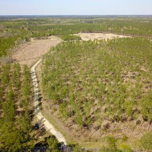Photo #2 of SOLD property in 916 Republican Road, Windsor, NC 275.0 acres