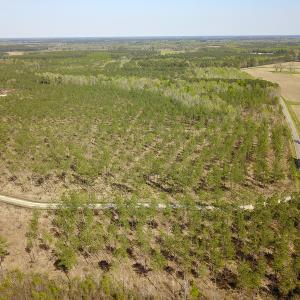 Photo #4 of SOLD property in 916 Republican Road, Windsor, NC 275.0 acres