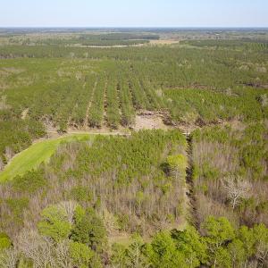 Photo #7 of SOLD property in 916 Republican Road, Windsor, NC 275.0 acres